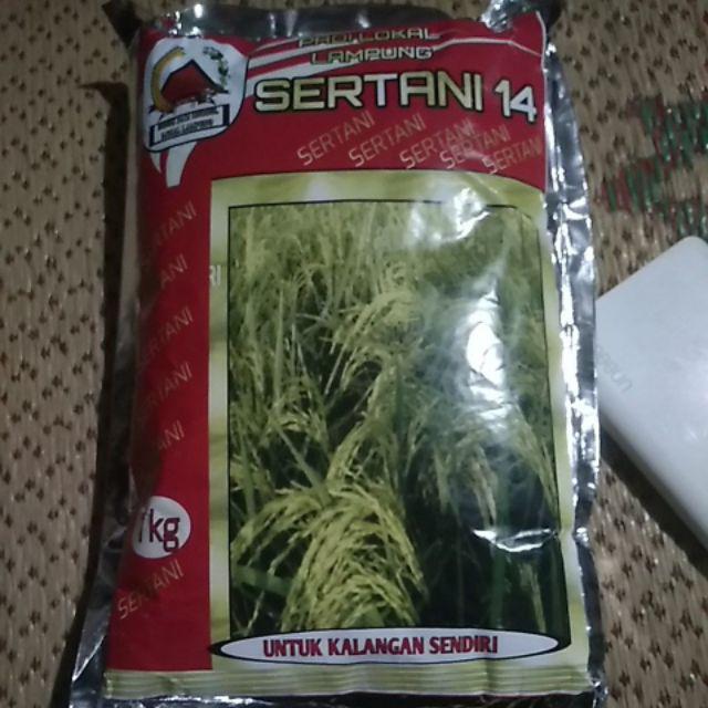 Benih Padi Unggul Bibit Sertani 14