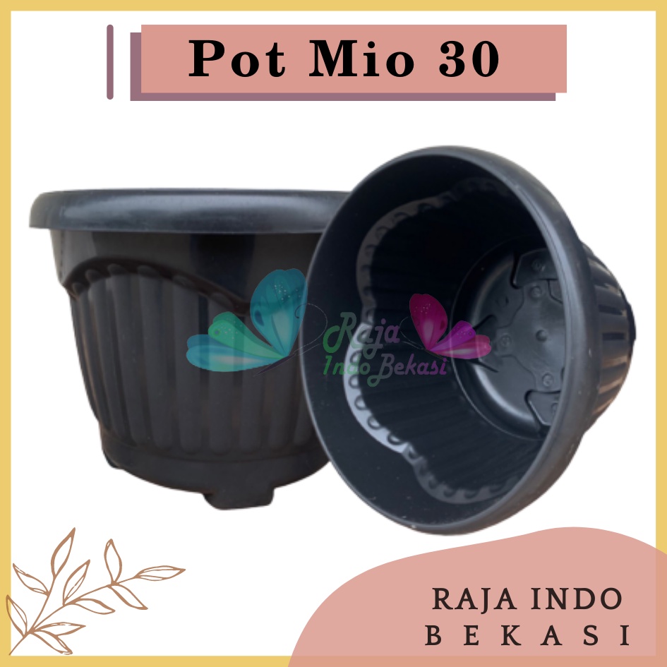 Pot Shallom Mio 30 Hitam Pot Bunga Plastik Tebal Murah Besar Kuat Motif Model Belimbing 30 cm Putih Hitam Selusin Lusinan Tebal - SHALLOM MIO 30 pot bunga bulat besar tebal murah