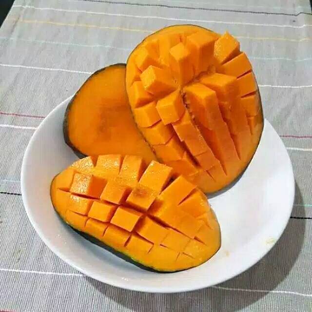 

Mangga Indramayu asli Kualitas Super