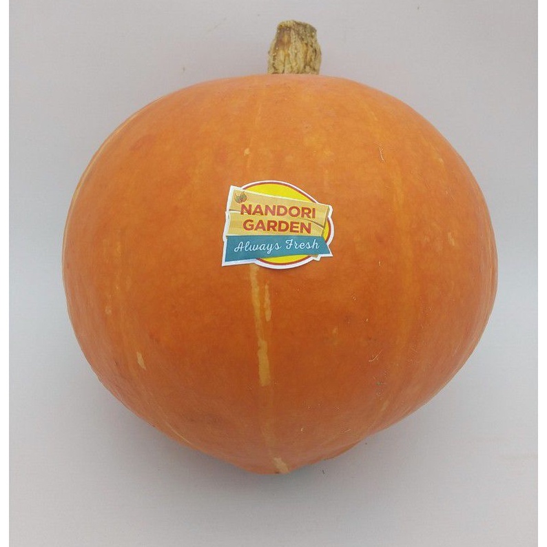 Kabocha Orange / Labu Kuning / Labu Jepang