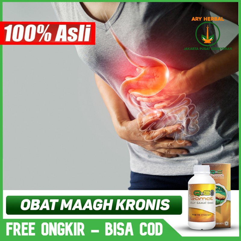 

Obat Maagh Kronis, Asam Lambung, Kolesterol, Kolestrol, Cair Herbal QnC Jelly Gamat Bisa COD