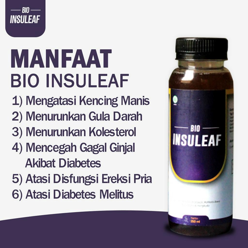 Pake Bebas Diabetes 3 Botol Bio Insuleaf – Herbal Alami Cegah Diabetes Bantu Turunkan Gula Darah Cegah Kencing Manis Asam Urat &amp; Kolesterol BPOM Herbal Anti Diabetes Bantu Kuatkan Daya Tahan Tubuh