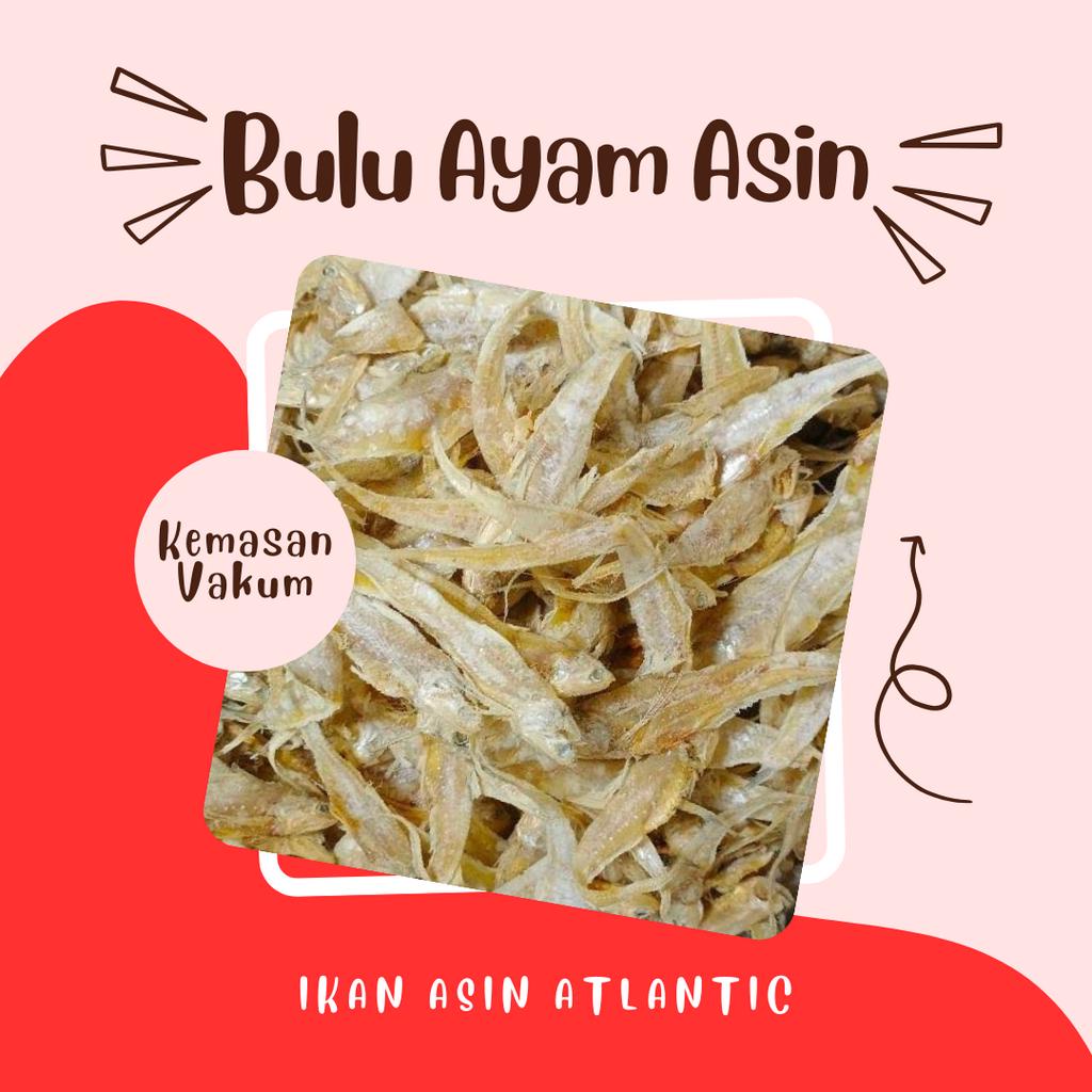 

Ikan Asin Bulu Ayam Kemasan Vakum 250 Gram - 1 Kg - Ikan Asin Atlantic