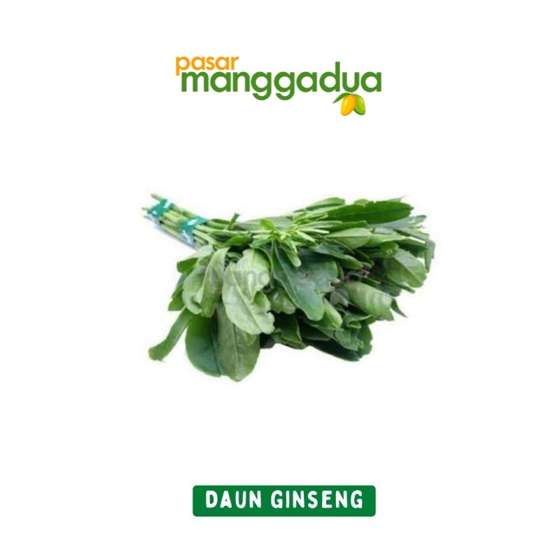 

Daun Ginseng Per Ikat / Produk Musiman