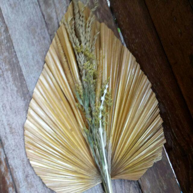 Daun Palem Kering Hiasan Rustic Lebar  35-40cm X Tinggi  70-90 Cm