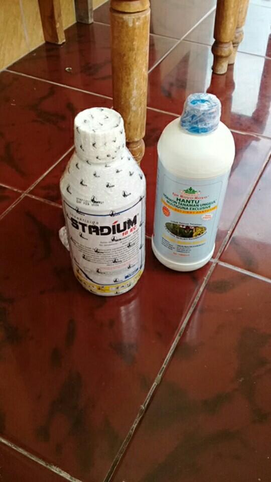 Insektisida Stadium 18ec 1l Untuk Trips, Wereng, Kutu Daun