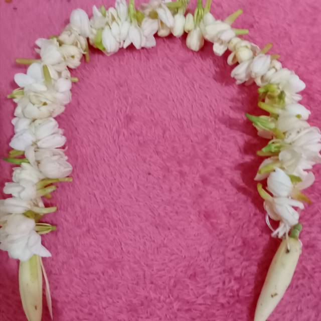 Ronce Melati bando asli