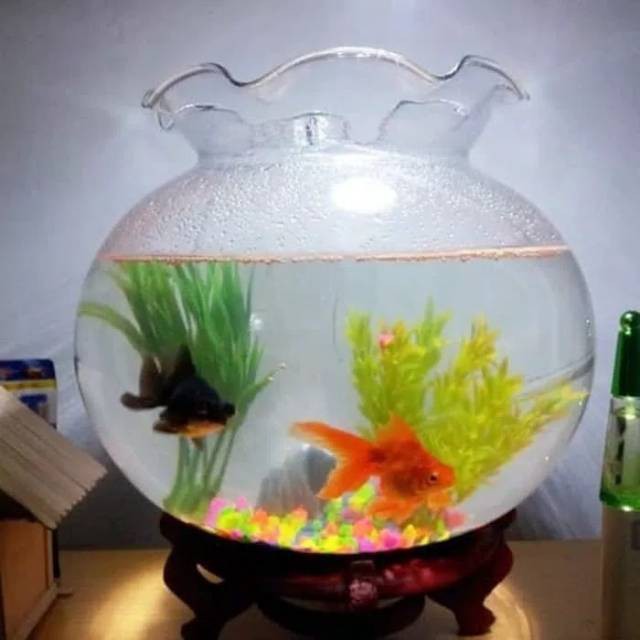 Fish Bowl 7 Liter SHELLA Aquarium Bulat 7L Toples Ikan Undian Akuarium