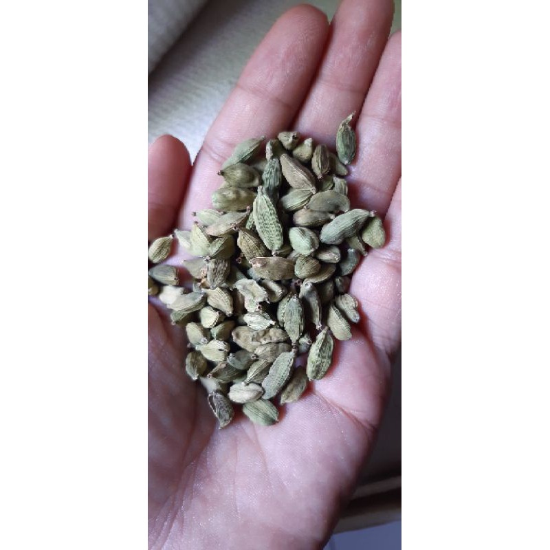 

kapulaga hijau/kapulaga india/cardamon 100gr