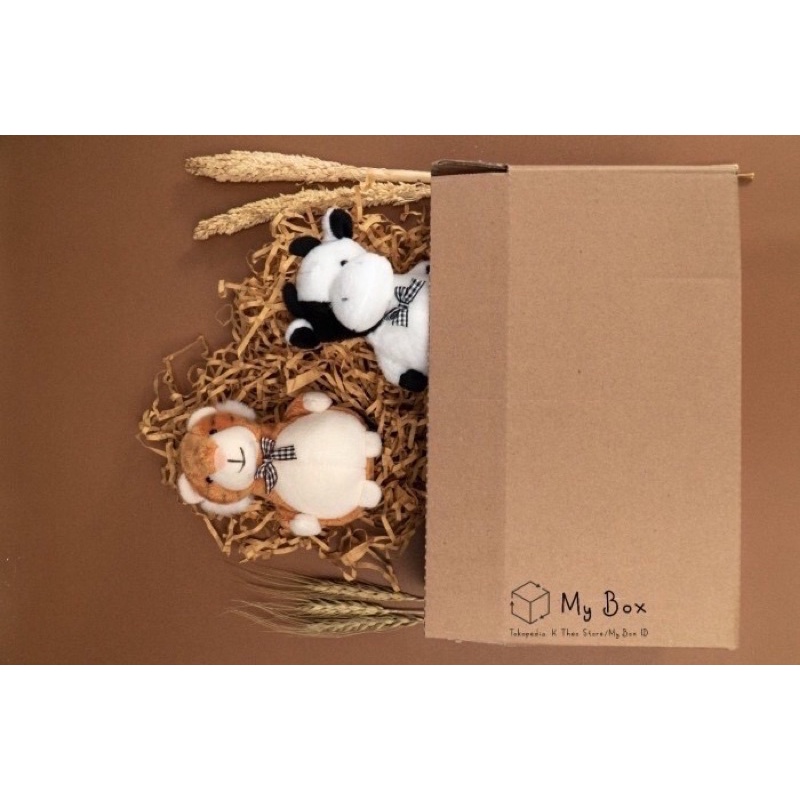 

Dus 25x15x8 cm / Kardus Kotak Packaging