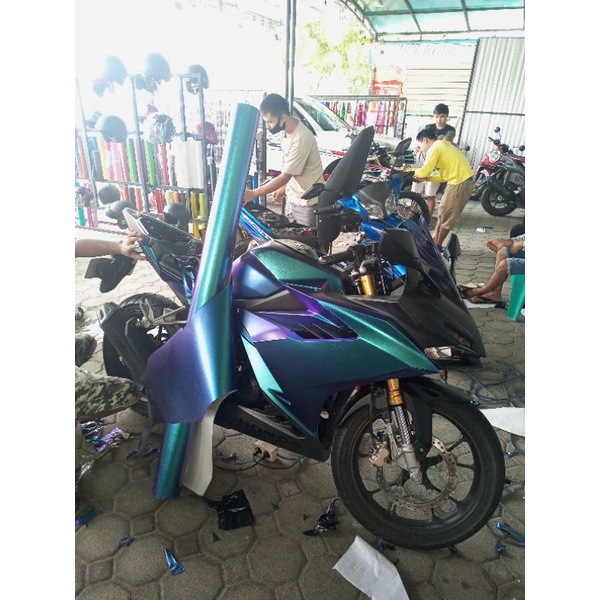 bunglon skotlet motor 250 ribu per meter