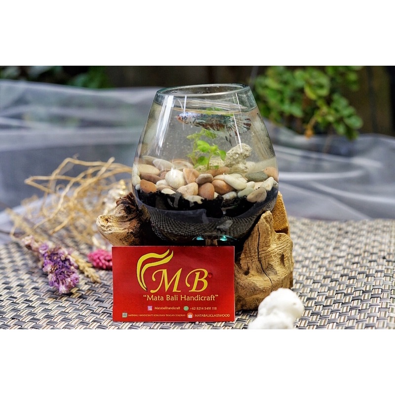 AQUARIUM UNIK IKAN CUPANG POT KACA TEMPAT BUAH TIUP 10 CM DIAMETER