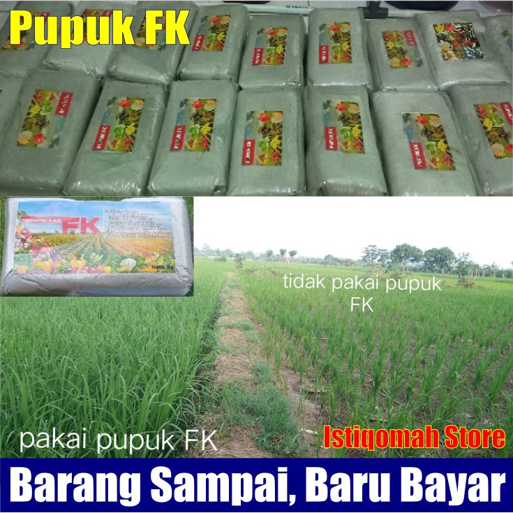 TERLARIS 1 Kg Pupuk FK untuk Padi, Modal Lebih Kecil Panen Padi Lebih Banyak, Panen Meningkat sampai 2x lipat, Panen Lebih Cepat, Padi jadi Tahan Penyakit, dll - Pupuk Organik FK