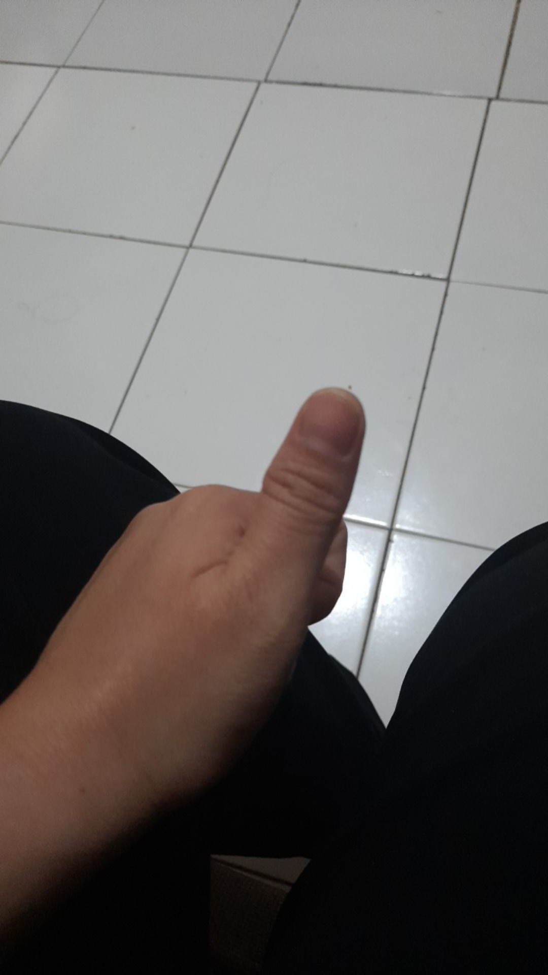 Ecentio 5 In 1 2l Teko Jus Air Teh Kopi Wadah Plastik Dengan 4 Cangkir 280ml/ Water Jug Bpa Free