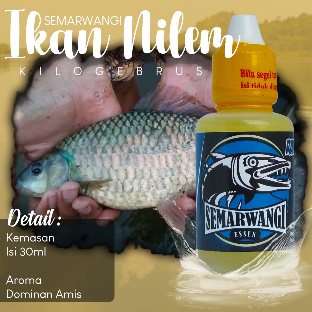 Jual Semarwangi Essen Ikan Nilem Untuk Dikolam Harian Dan Alam Liar Isi