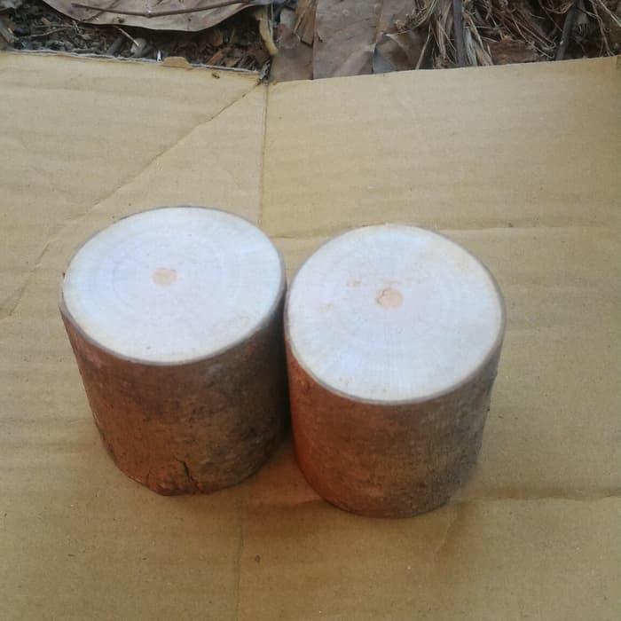 Medium Wood log tinggi 5 cm diameter 6-7 cm dekorasi craft