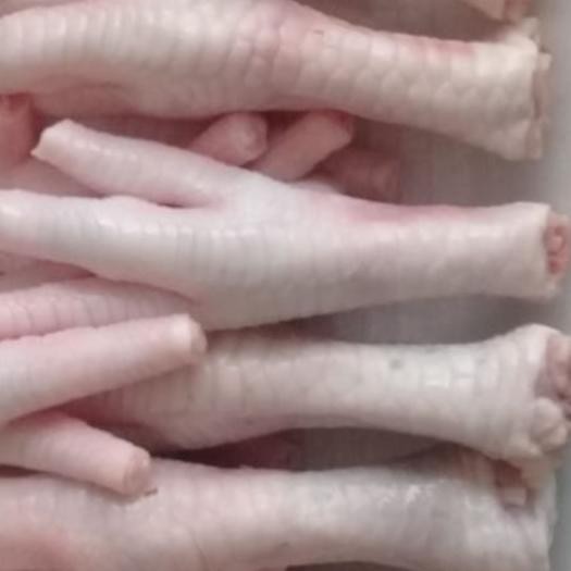 

❋ Ceker Ayam Murah, Siap Kirim Pake Go-Kilat ✬