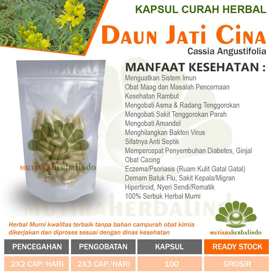 Kapsul Curah Herbal JATI CINA Pelangsing Metabolisme 100 casul