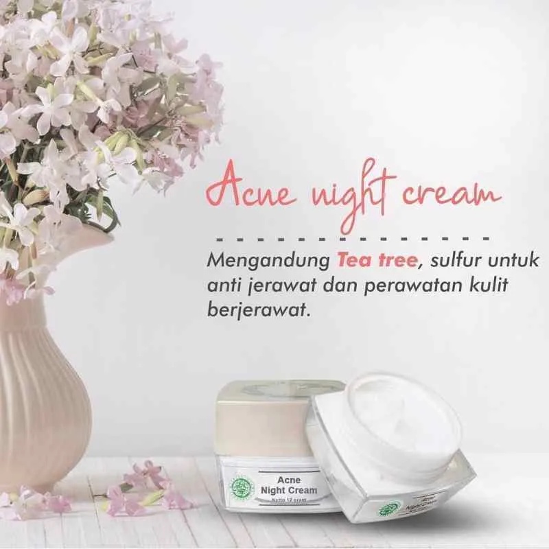 MS Glow Acne Night Cream / Krim Malam Untuk Wajah Berminyak / Jerawat