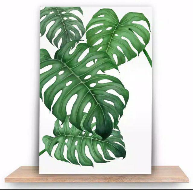 [bisa Cod] Hiasan Dinding Tropical Poster Kayu Walldecor Shabby Chic Monsterra Trs17