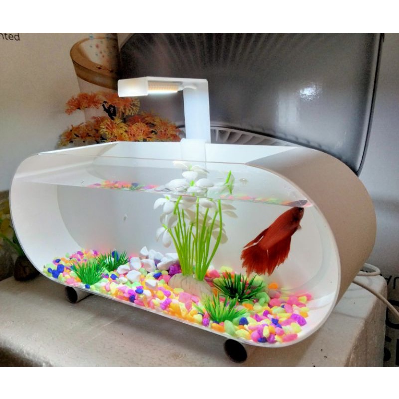 paket akuarium mini akririk + aerator