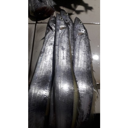 

ikan layur segar 500grm