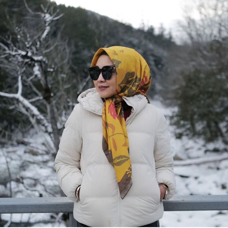 DEENAY CARTA VERMONT ILLIONIS SERIES