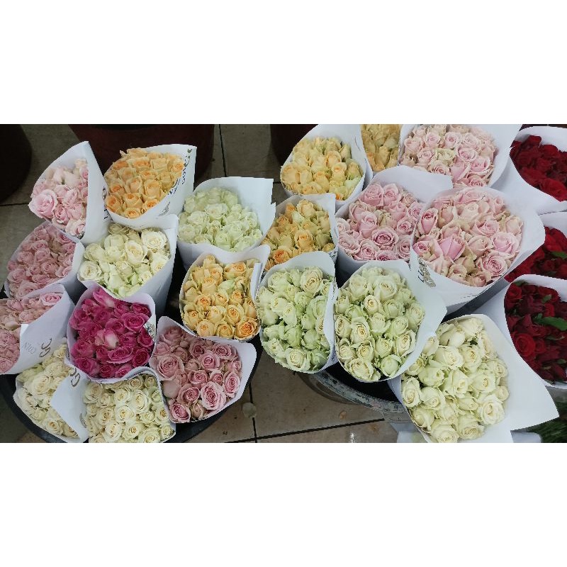 Bunga Mawar Malang Segar/Fresh