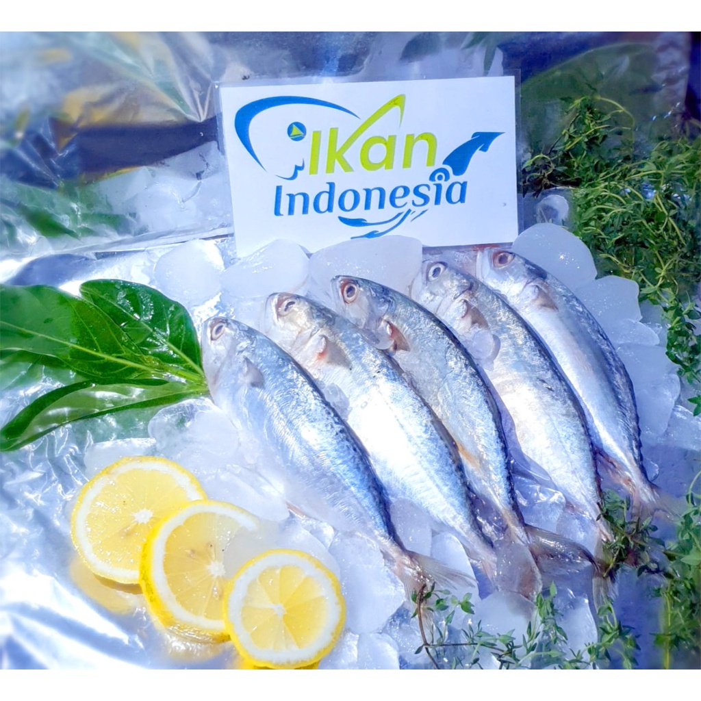 Jual Ikan Kembung Banjar 1 Pack 1kg Ikan Indonesia Shopee Indonesia