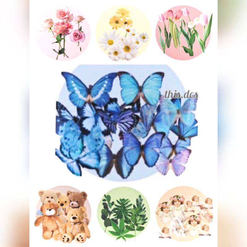 

(40pcs) Deco Stickers Pack Plant Flower PET Butterfly Teddy Bear Diy bujo scrapbooking