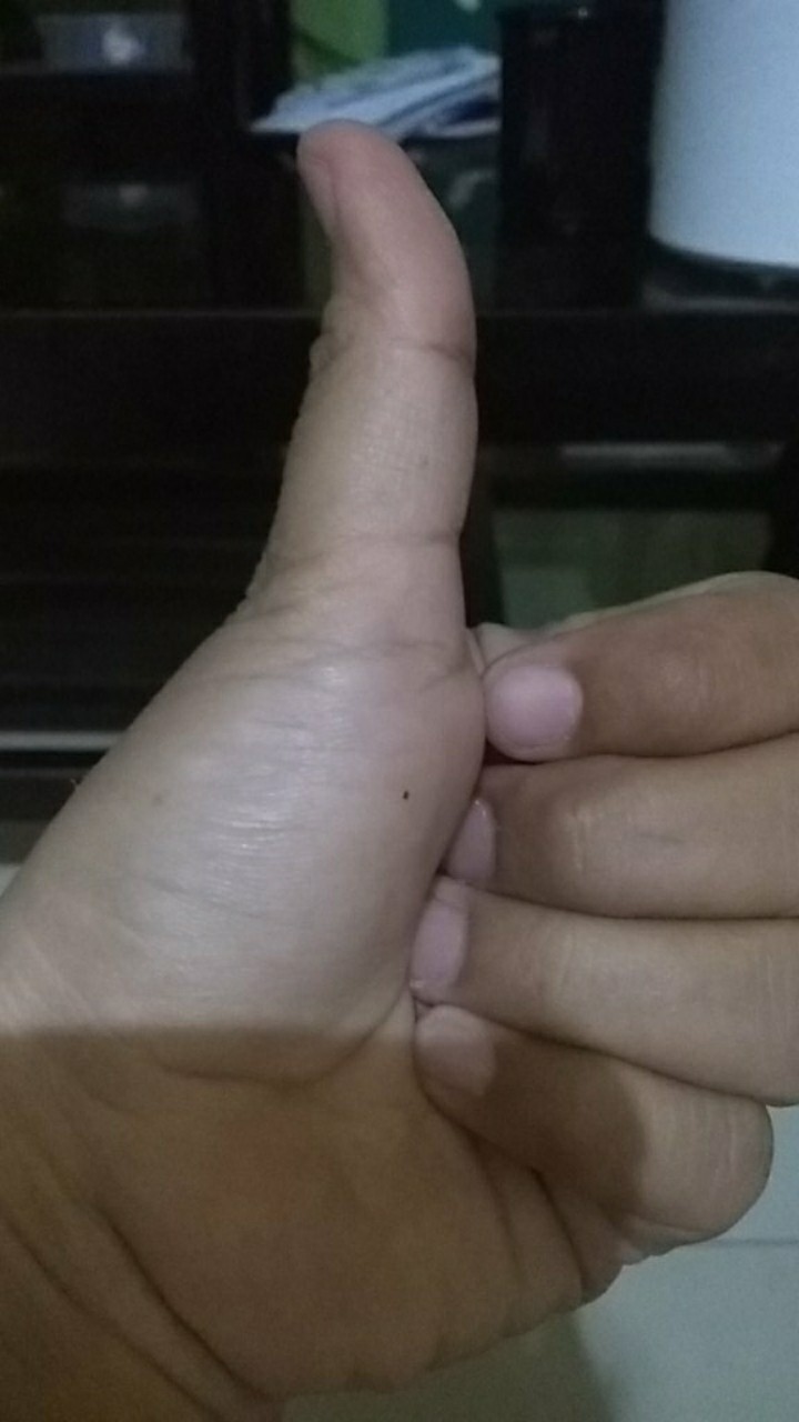 ( 6pcs) Eighteen Pure Aromaterapi Minyak Esensial Murni Diffuser 10ml