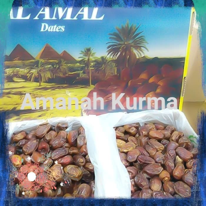 

Kurma Mesir 1kg - Kurma Al Amal Oleh Oleh Haji dan Umroh