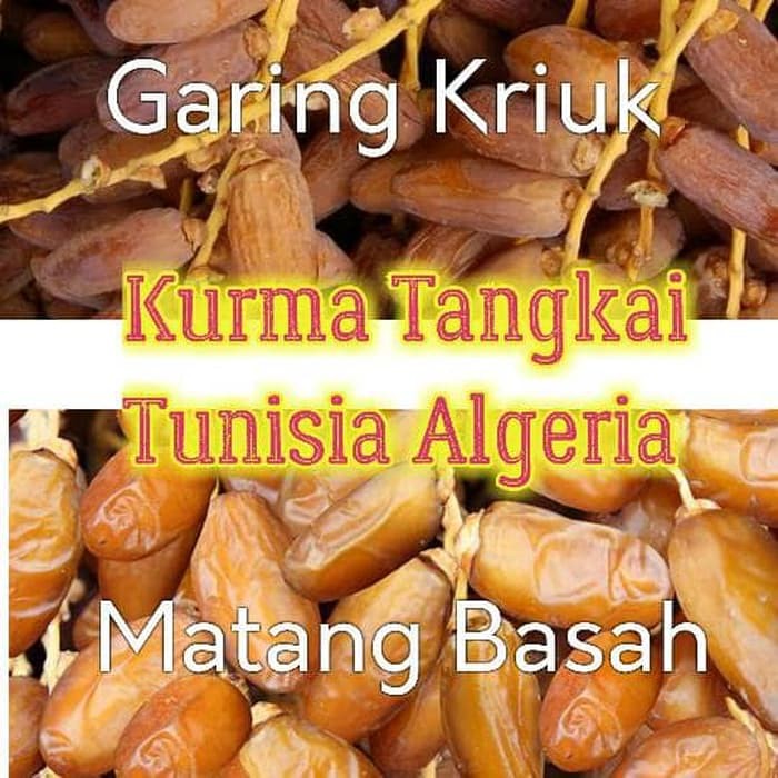 

Kurma Tunisia Tangkai 1/2kg
