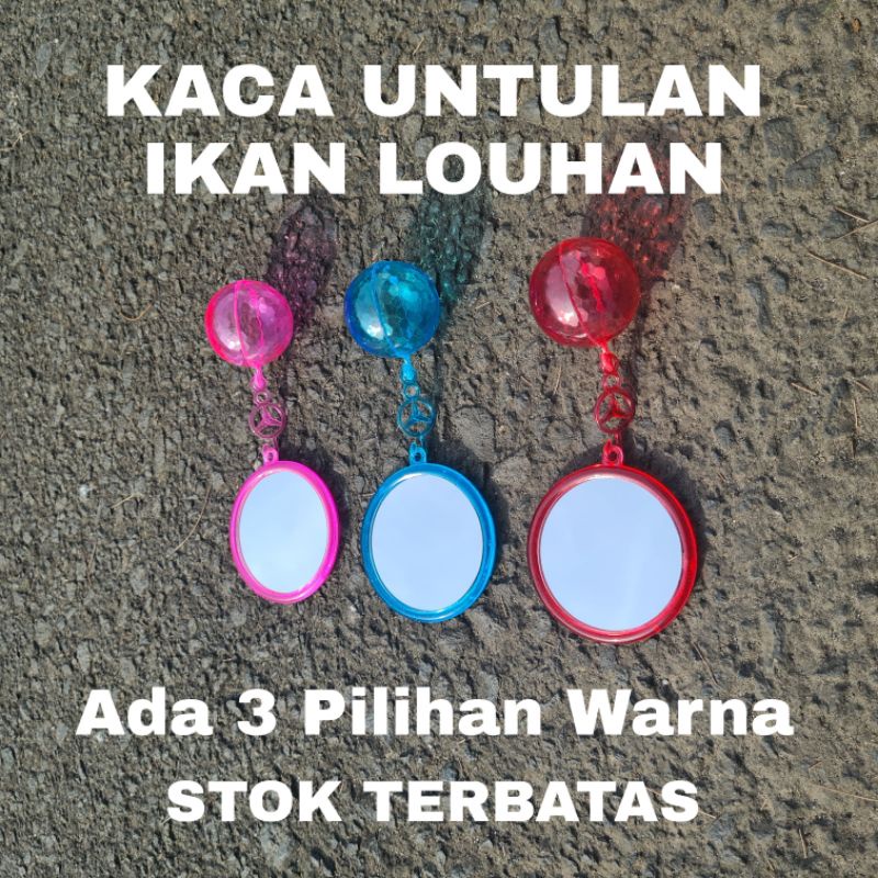Kaca Untulan Ikan Louhan 2 Sisi / Kaca Untulan Diameter 8 cm