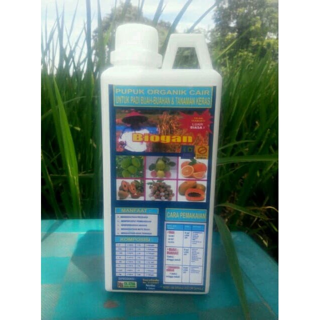 Pupuk Organik Cair POC BIOGAN UNTUK PADI dan BUAH-BUAHAN