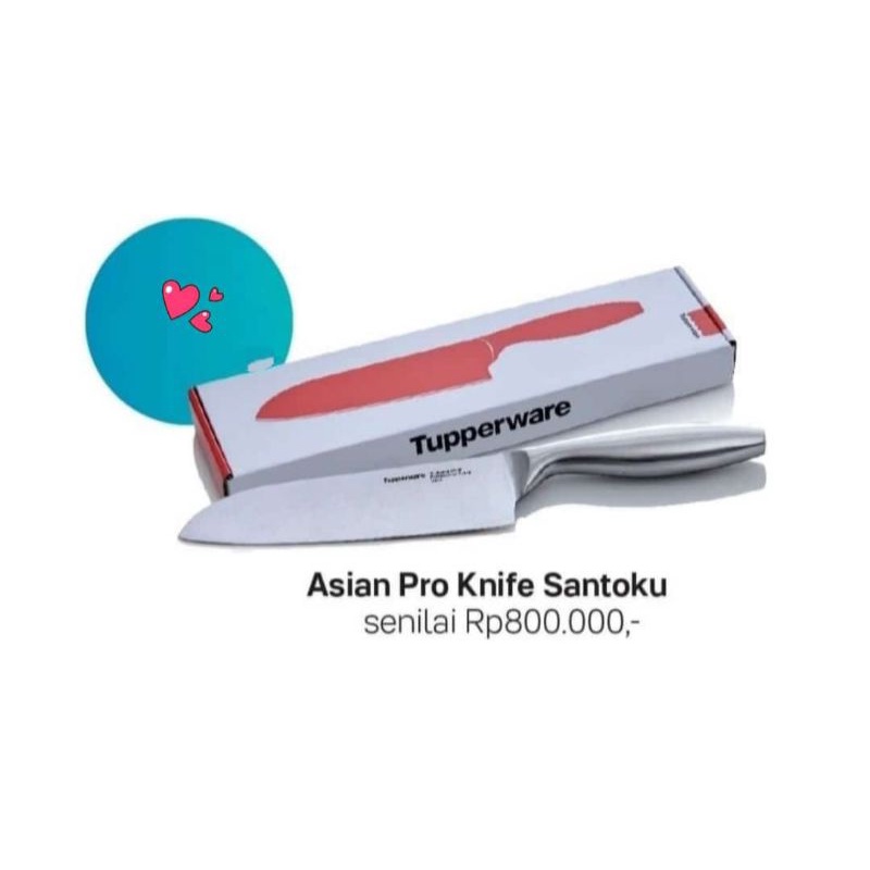 asian pro knife santoku