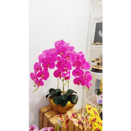 Anggrek latex dengan vas bola gold super elegan premium