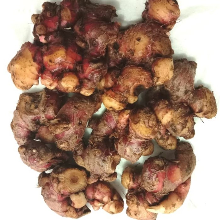 

tradisional-minuman- jahe merah bersih segar 1kg -minuman-tradisional.