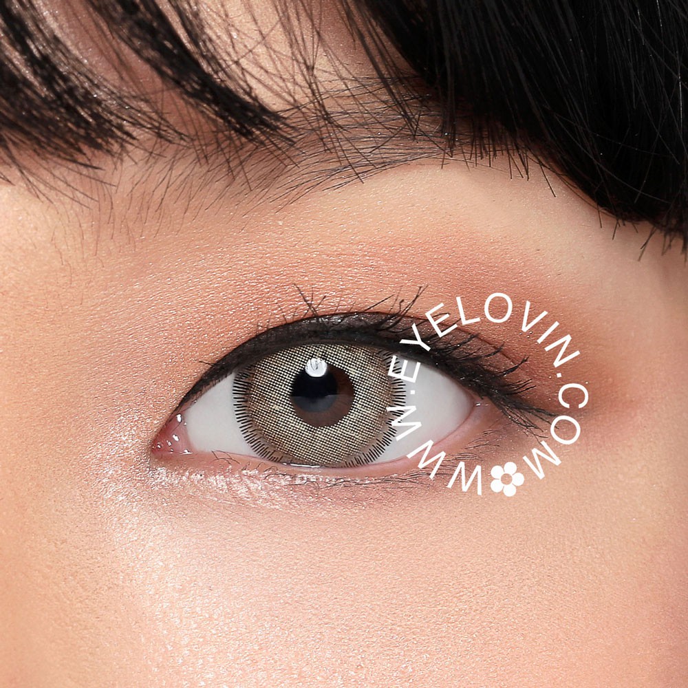 Eyelovin Softlens AW Beauty - Latin Brown