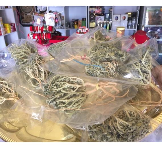 

➞Diskon Promo≛➞ RUMPUT FATIMAH HERBAL PELANCAR PERSALINAN, SANGAT BAGUS BUAT IBU HAMIL JUGA, ORIGINAL ARAB SAUDI 52 ✧