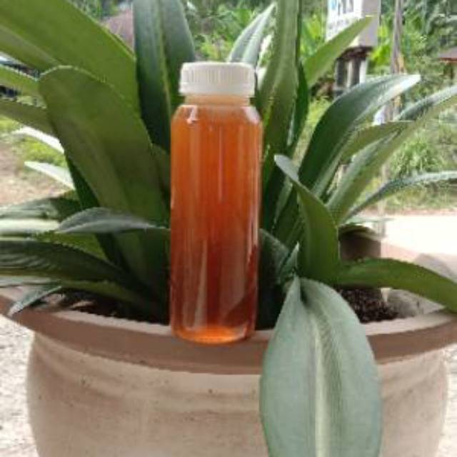 

Madu Murni Multiflora (250 ml)