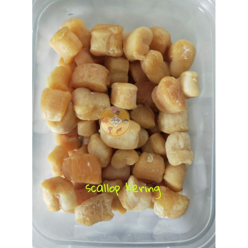 

Scallop kering 100 gram