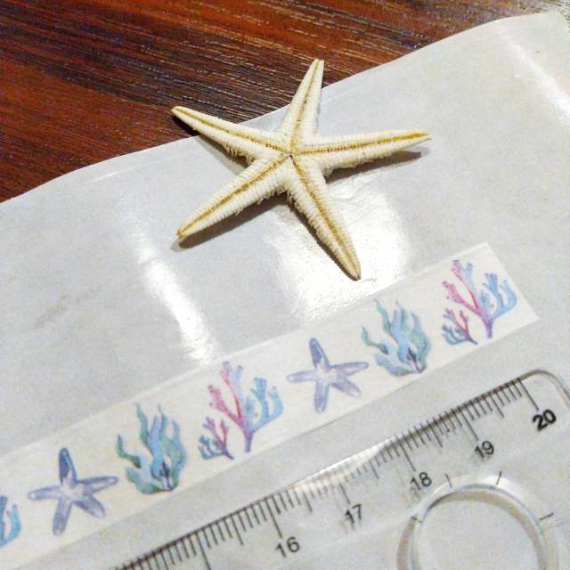 

Share Washitape Sample Karang Laut 20cm x 1.5cm- Share Washi tape - Share Washitape versi bagi bagi