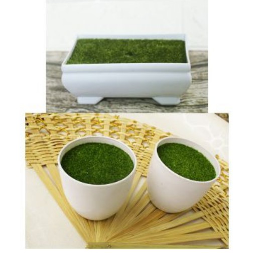 Topprice COD (1) Ornamen Pot Bonsai Tanaman Bunga Bonsai Dekorasi Rumah Tanaman Hias Plastik U19