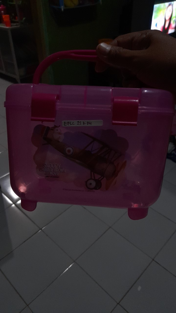 Calista Mini Container / Kotak Obat / Kontainer Box / Kotak Makanan / Kotak Barang