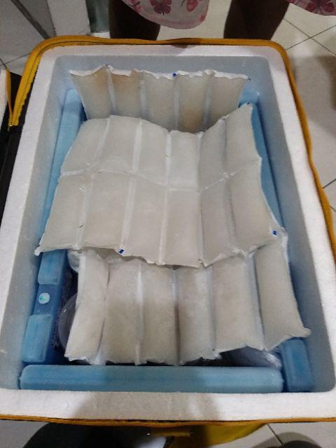 Ice Pack Besar Ice Pack Kotak Besar Ice Pack Jumbo Murah Blue Ice Pengganti Dry Ice