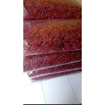 

murah 1 kg cabe teja /caplak /rawit super pedas tanpa tangkai /bumbu masak dll