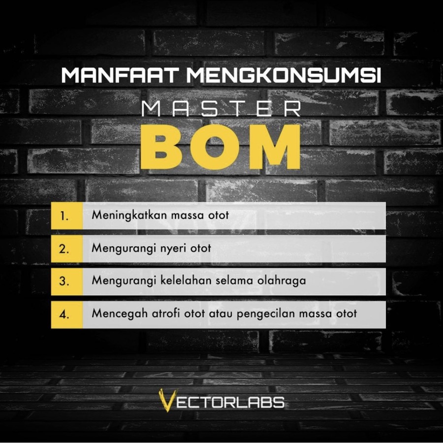 Vectorlabs Master BOM BCAA 30 Sachet Vector Labs 30 Serv Recovery Otot