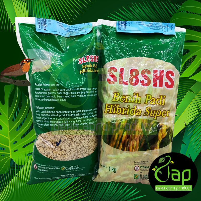 BENIH PADI HIBRIDA SUPER SL8SHS 1KG philippines