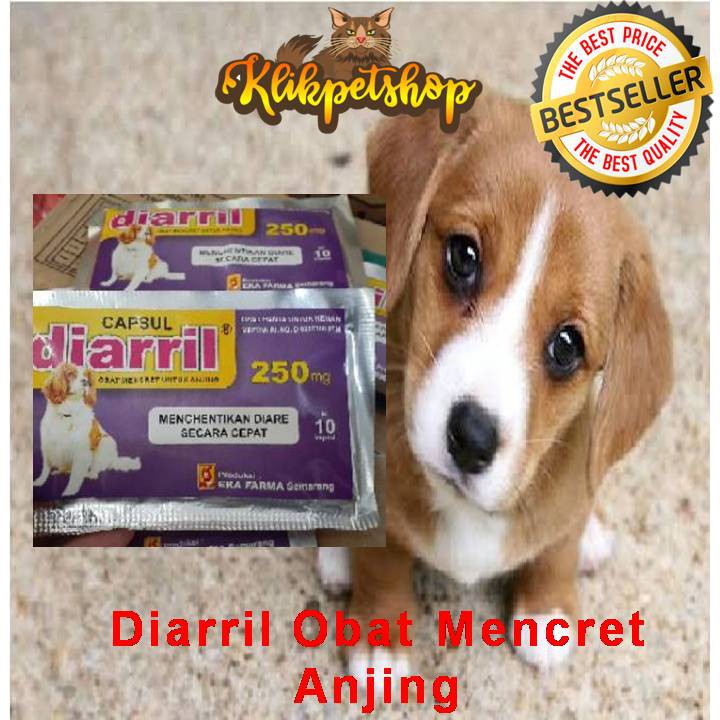 Obat Mencret Anjing Diare Anjing Diarril